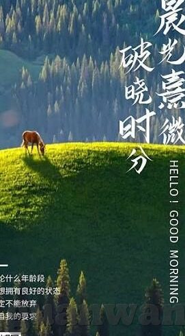 立届世界杯排名-立届世界杯排名，足球盛宴中的荣耀与梦想